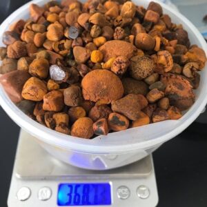 Ox Cow Gallstones