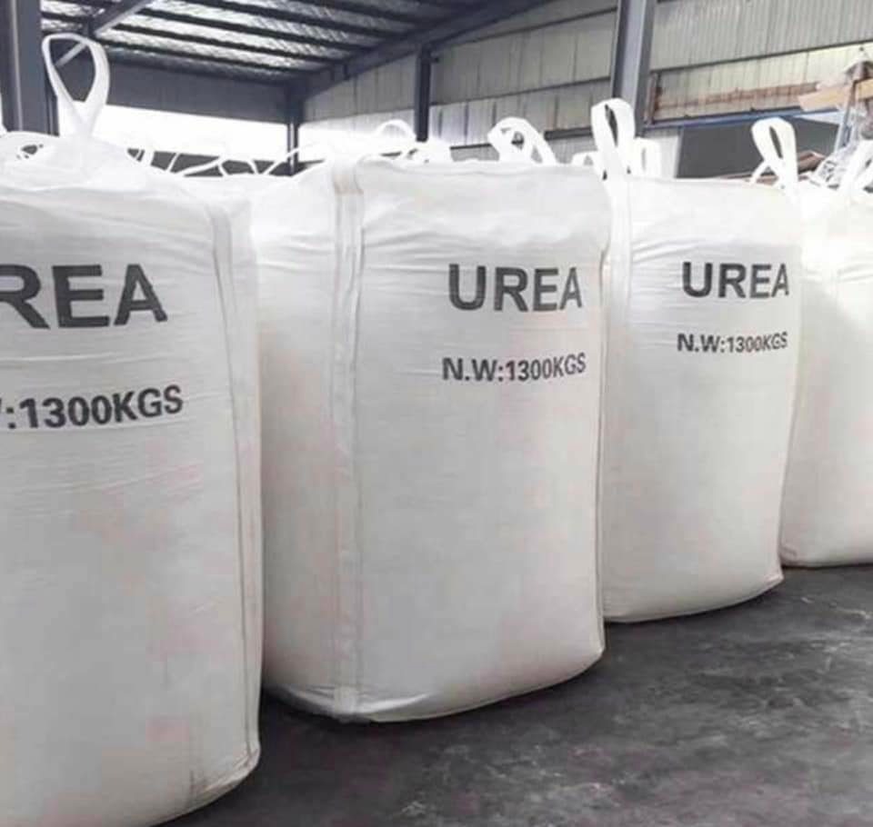 DIAMMONIUM PHOSPHATE (DAP)