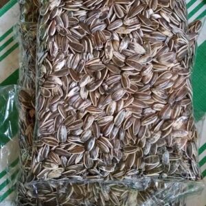 SUNFLOWER SEED